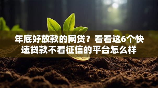 年底好放款的网贷？看看这6个快速贷款不看征信的平台怎么样