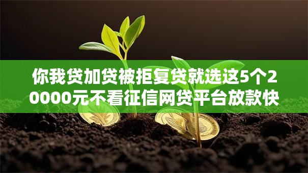 你我贷加贷被拒复贷就选这5个20000元不看征信网贷平台放款快的平台