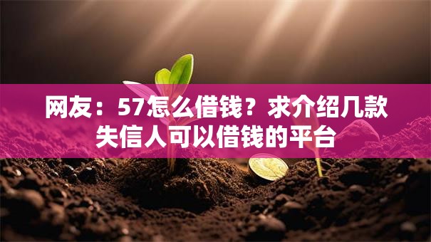 网友:57怎么借钱?求介绍几款失信人可以借钱的平台 网友:57怎么借钱?求介绍几款失信人可以借钱的平台