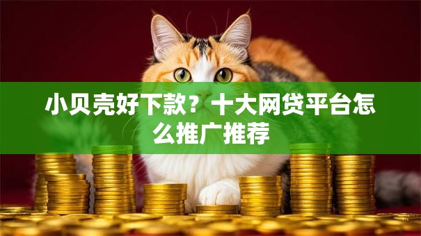 小贝壳好下款？十大网贷平台怎么推广推荐