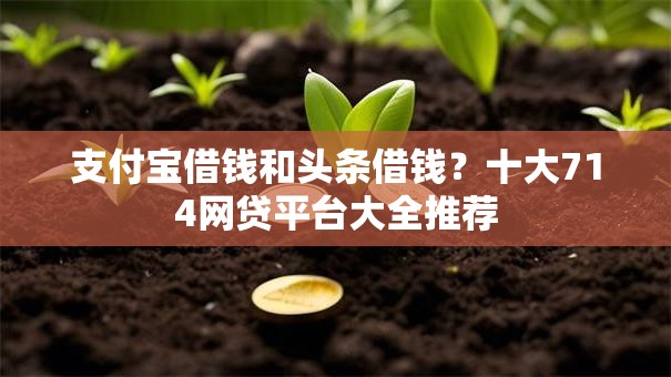 支付宝借钱和头条借钱？十大714网贷平台大全推荐