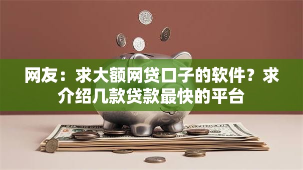 网友：求大额网贷口子的软件？求介绍几款贷款最快的平台
