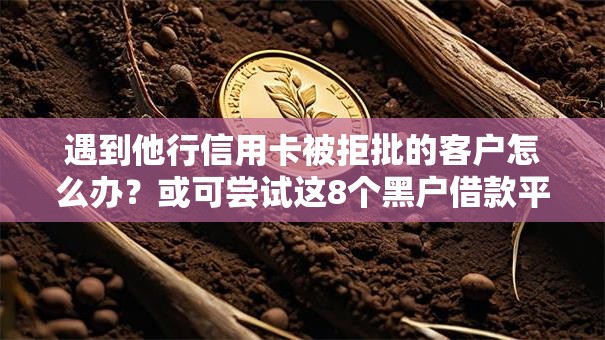 遇到他行信用卡被拒批的客户怎么办?或可尝试这8个黑户借款平台容易通过审核 遇到他行信用卡被拒批的客户怎么办?或可尝试这8个黑户借款平台容易通过审核
