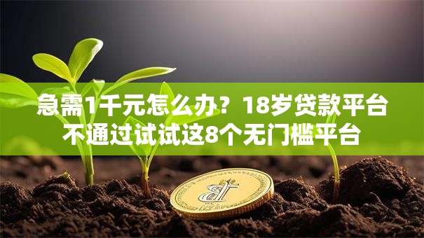 急需1千元怎么办？18岁贷款平台不通过试试这8个无门槛平台