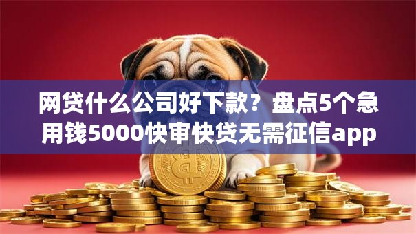 网贷什么公司好下款？盘点5个急用钱5000快审快贷无需征信app给你参考
