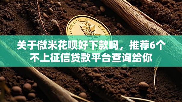 关于微米花呗好下款吗，推荐6个不上征信贷款平台查询给你