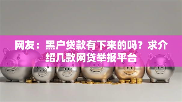 网友：黑户贷款有下来的吗？求介绍几款网贷举报平台