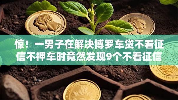惊！一男子在解决博罗车贷不看征信不押车时竟然发现9个不看征信的网贷平台，事后分享了出来