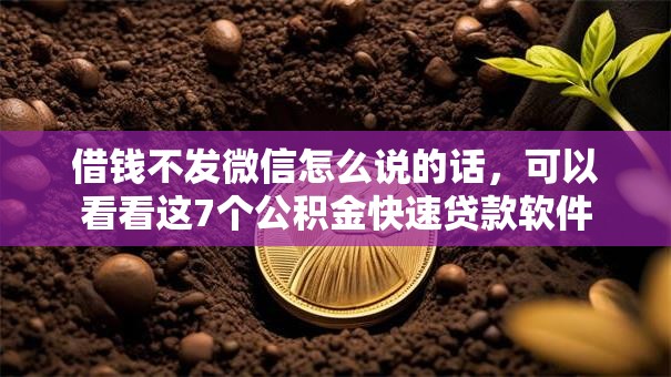 借钱不发微信怎么说的话，可以看看这7个公积金快速贷款软件