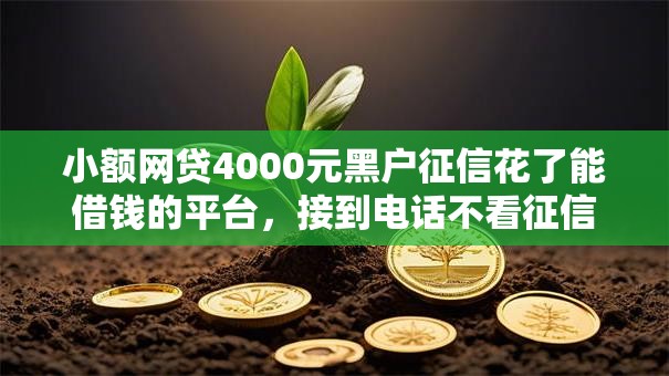 小额网贷4000元黑户征信花了能借钱的平台，接到电话不看征信能贷款的7个平台介绍