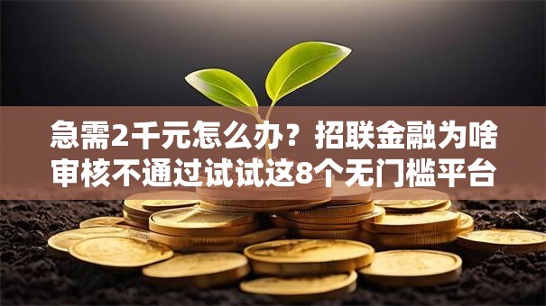 急需2千元怎么办?招联金融为啥审核不通过试试这8个无门槛平台 急需2千元怎么办?招联金融为啥审核不通过试试这8个无门槛平台