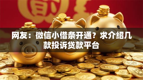 网友：微信小借条开通？求介绍几款投诉贷款平台