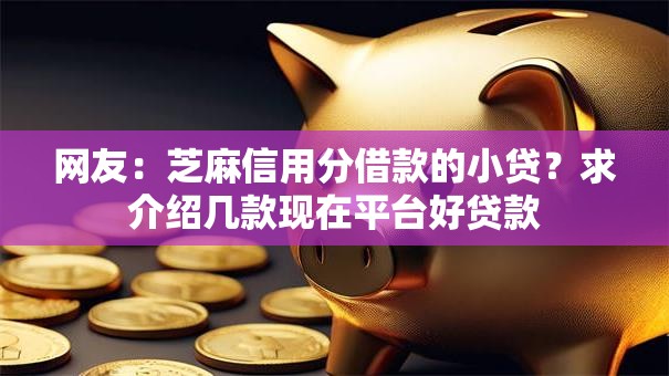 网友：芝麻信用分借款的小贷？求介绍几款现在平台好贷款