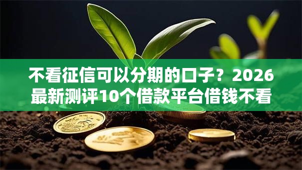 不看征信可以分期的口子？2026最新测评10个借款平台借钱不看征信