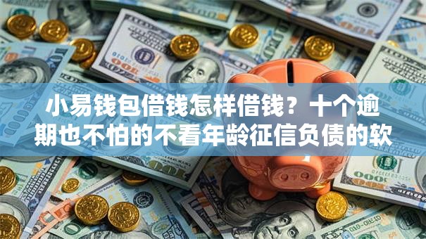 小易钱包借钱怎样借钱?十个逾期也不怕的不看年龄征信负债的软件 小易钱包借钱怎样借钱?十个逾期也不怕的不看年龄征信负债的软件