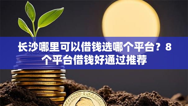 长沙哪里可以借钱选哪个平台？8个平台借钱好通过推荐