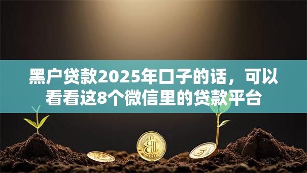 黑户贷款2025年口子的话，可以看看这8个微信里的贷款平台