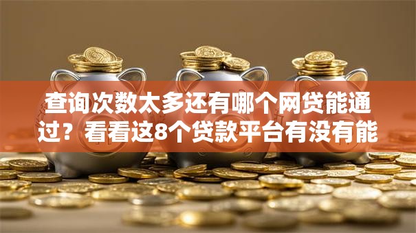 查询次数太多还有哪个网贷能通过？看看这8个贷款平台有没有能下款的