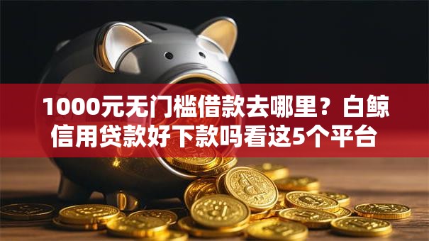 1000元无门槛借款去哪里？白鲸信用贷款好下款吗看这5个平台