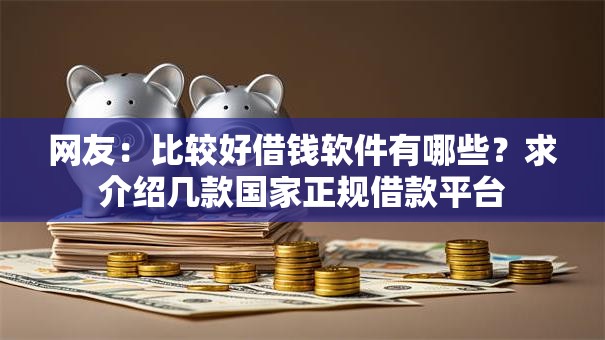 网友：比较好借钱软件有哪些？求介绍几款国家正规借款平台