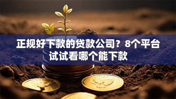 正规好下款的贷款公司?8个平台试试看哪个能下款 正规好下款的贷款公司?8个平台试试看哪个能下款