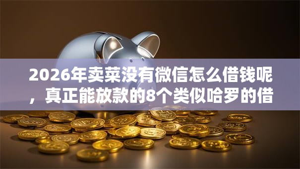 2026年卖菜没有微信怎么借钱呢，真正能放款的8个类似哈罗的借款软件平台推荐