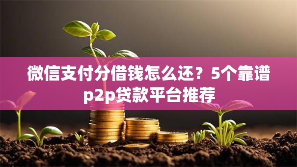 微信支付分借钱怎么还?5个靠谱p2p贷款平台推荐 微信支付分借钱怎么还?5个靠谱p2p贷款平台推荐