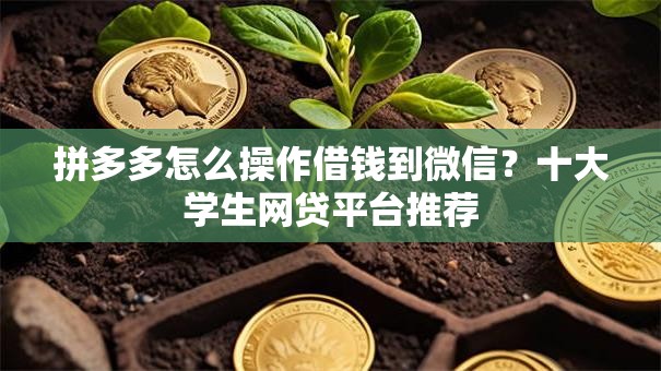 拼多多怎么操作借钱到微信？十大学生网贷平台推荐