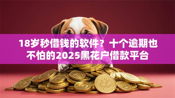 18岁秒借钱的软件？十个逾期也不怕的2025黑花户借款平台