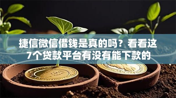 捷信微信借钱是真的吗？看看这7个贷款平台有没有能下款的