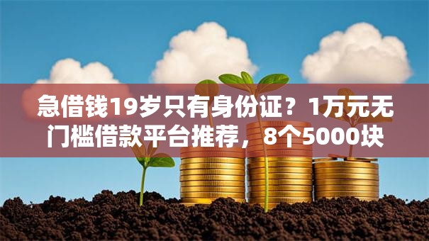 急借钱19岁只有身份证？1万元无门槛借款平台推荐，8个5000块贷款秒下平台盘点