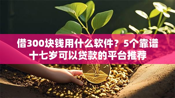 借300块钱用什么软件？5个靠谱十七岁可以贷款的平台推荐