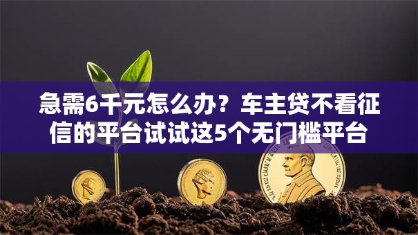 急需6千元怎么办？车主贷不看征信的平台试试这5个无门槛平台