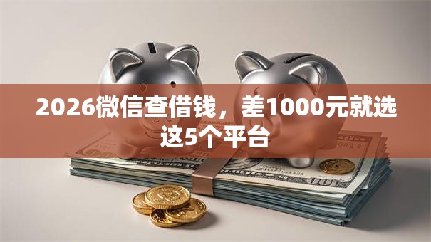 2026微信查借钱，差1000元就选这5个平台