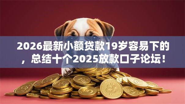 2026最新小额贷款19岁容易下的，总结十个2025放款口子论坛！