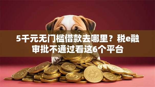5千元无门槛借款去哪里？税e融审批不通过看这6个平台