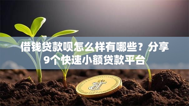 借钱贷款呗怎么样有哪些？分享9个快速小额贷款平台