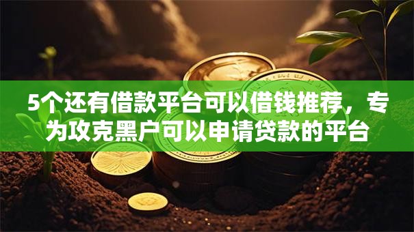 5个还有借款平台可以借钱推荐，专为攻克黑户可以申请贷款的平台难题