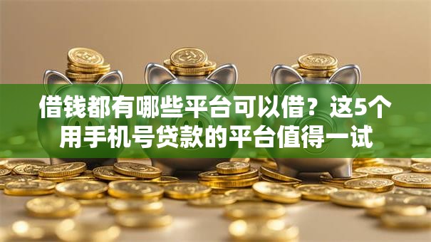 借钱都有哪些平台可以借？这5个用手机号贷款的平台值得一试