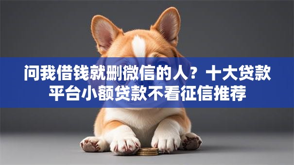 问我借钱就删微信的人？十大贷款平台小额贷款不看征信推荐