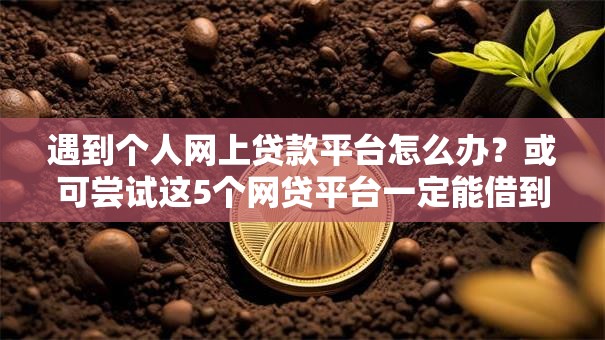 遇到个人网上贷款平台怎么办?或可尝试这5个网贷平台一定能借到钱 遇到个人网上贷款平台怎么办?或可尝试这5个网贷平台一定能借到钱