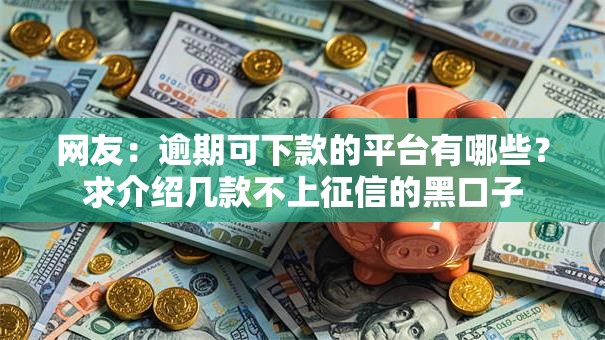 网友：逾期可下款的平台有哪些？求介绍几款不上征信的黑口子