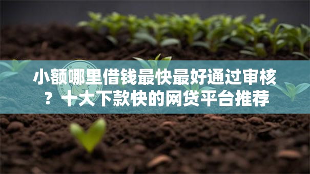 小额哪里借钱最快最好通过审核？十大下款快的网贷平台推荐
