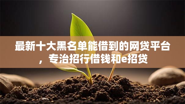 最新十大黑名单能借到的网贷平台，专治招行借钱和e招贷