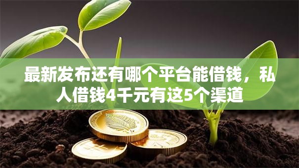 最新发布还有哪个平台能借钱，私人借钱4千元有这5个渠道