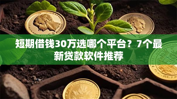 短期借钱30万选哪个平台？7个最新贷款软件推荐