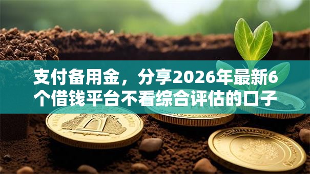 支付备用金,分享2026年最新6个借钱平台不看综合评估的口子 支付备用金,分享2026年最新6个借钱平台不看综合评估的口子