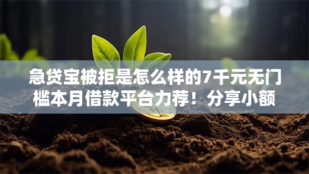 急贷宝被拒是怎么样的7千元无门槛本月借款平台力荐！分享小额网贷口子7千元无门槛借款