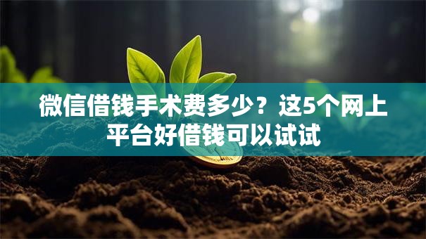 微信借钱手术费多少？这5个网上平台好借钱可以试试