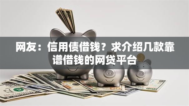 网友：信用债借钱？求介绍几款靠谱借钱的网贷平台
